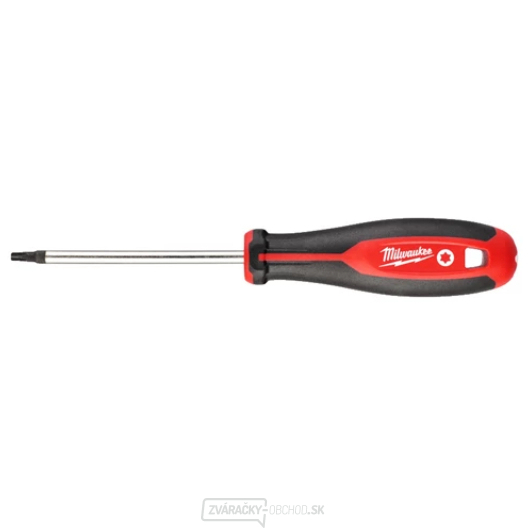 Milwaukee TRI-lobom Skrutkovač T25x100- 1ks