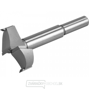 Fréza na drevo s plátkami SK, stopka O 40 mm 10 mm Fréza na drevo s plátkami SK, stopka O 40 mm 10 mm gallery main image