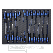 Dielenský vozík vybavenie 243 dielov náhled