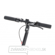 VeGA MaxSpeed ES15XM náhled