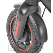 VeGA MaxSpeed ES15XM náhled