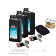 Servisná sada 896cc, 993cc VANGUARD V-Twin 27-40HP vrátane EFI Servisná sada 896cc, 993cc VANGUARD V-Twin 27-40HP vrátane EFI gallery main image