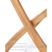 PRINC VEGA 6 PRINC VEGA 6 náhled