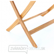 PRINC VEGA 6 PRINC VEGA 6 náhled