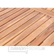 PRINC VEGA 6 PRINC VEGA 6 náhled