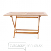 PRINC VEGA 6 PRINC VEGA 6 náhled