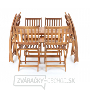 PRINC VEGA 6 PRINC VEGA 6 náhled