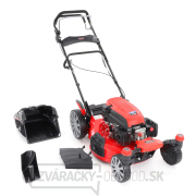 Benzínová kosačka na trávu s pojazdom VeGA 51 HWTV 6in1 náhled