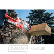 Píla reťazová aku, 30cm, 20V Li-ion, bez batérie a nabíjačky Píla reťazová aku, 30cm, 20V Li-ion, bez batérie a nabíjačky náhled