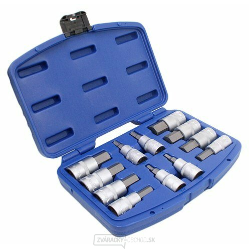 Zástrčné hlavice Imbus 1/2", H5 - H22, súprava 12 ks - ASTA