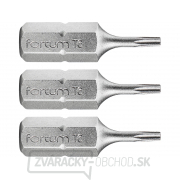 Hrot TORX, sada 3 ks, T 6x25 mm, S2 gallery main image