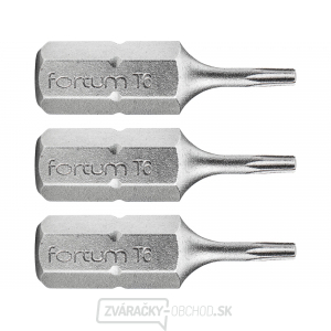 Hrot TORX, sada 3 ks, T 6x25 mm, S2 Hrot TORX, sada 3 ks, T 6x25 mm, S2 gallery main image