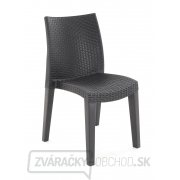 Záhradná stolička IPAE LADY Záhradná stolička IPAE LADY náhled