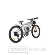 Elektrobicykel Lumag FB 26/2 Elektrobicykel Lumag FB 26/2 náhled