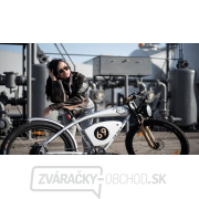 Elektrobicykel Lumag FB 26/2 Elektrobicykel Lumag FB 26/2 náhled