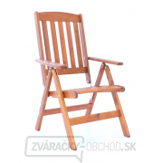 Kreslo VeGA OSCAR 7-poz. Kreslo VeGA OSCAR 7-poz. náhled