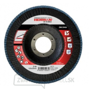 Lamelový kotúč HERMAN LR-10 AREA na nerez 115mm Z60 - 1ks gallery main image
