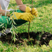 Pôdny vrták Scheppach EB 2000 + 3 vrtáky náhled