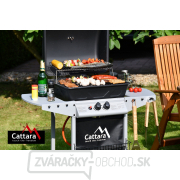 Gril plynový PARTY POINT pojazdný náhled