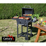 Gril na drevené uhlie ROYAL PARTNER liatinový rošt náhled