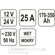 Nabíjačka 25A 12/24V Náhľad