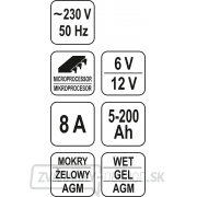 Nabíjačka 8A 6/12V gél/procesor Náhľad