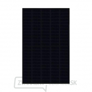 Solárny panel Risen Energy RSM40-8-390MB Full Black gallery main image