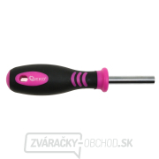 Dámska sada ružové náradie LADY - kliešte, bity, svietidlo, meter, 23 dielov Dámska sada ružové náradie LADY - kliešte, bity, svietidlo, meter, 23 dielov náhled