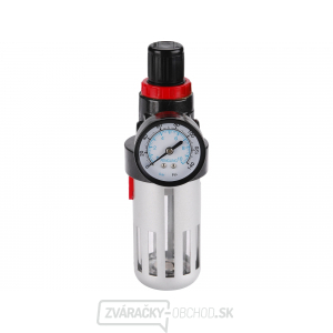 Regulátor tlaku s filterem a manometerem,8865104