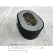 Vzduchový filter pre Hahn & Sohn Dieselové Generátory HDE 9000 Vzduchový filter pre Hahn & Sohn Dieselové Generátory HDE 9000 gallery main image