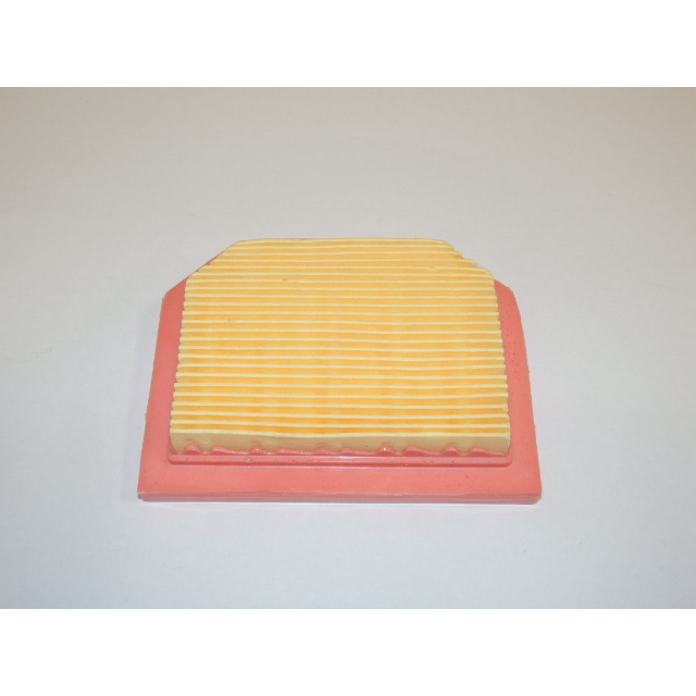 VeGA Vložka filtra 50180130364-TE02