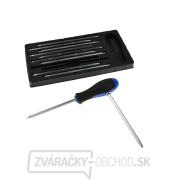 Skrutkovač GEKO 22 v 1 s vymeniteľnými bitmi (10/20) Náhľad