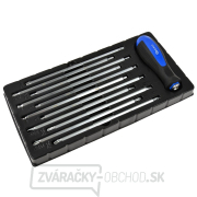 Skrutkovač Geko s vymeniteľnými hrotmi 22v1 Skrutkovač Geko s vymeniteľnými hrotmi 22v1 gallery main image