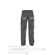 Pracovné nohavice TVARDY veľkosť LD(54) (10) náhled