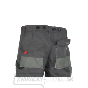 Pracovné nohavice TVARDY veľkosť LD(54) (10) náhled