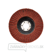 Lamelárny kotúč z netkanej textílie na satinovacie stroje 125 mm x 22,2 (10/100) Náhľad