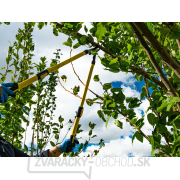 Nožnice na vetvy teleskopické pákové GEKO, 655-900 mm Nožnice na vetvy teleskopické pákové GEKO, 655-900 mm náhled