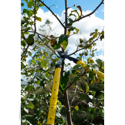 Teleskopické nožnice na konáre 650-975 mm, rukoväť PP+TPR (6 ks) náhled