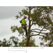 Akumulátorová reťazová píla CRAMER 82TCS15 (Dodávané bez batérie a nabíjačky) Akumulátorová reťazová píla CRAMER 82TCS15 (Dodávané bez batérie a nabíjačky) náhled