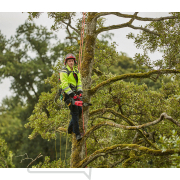 Akumulátorová reťazová píla CRAMER 82TCS15 (Dodávané bez batérie a nabíjačky) Akumulátorová reťazová píla CRAMER 82TCS15 (Dodávané bez batérie a nabíjačky) náhled