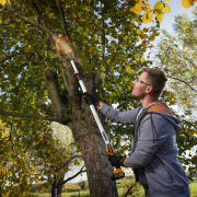 Riwall PRO RAHS 1820i aku ručná reťazová píla 20 V s bezuhlíkovým motorom (bez batérie a nabíjačky) Náhľad