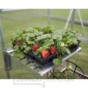 Palram - Canopia Kovová polica  Náhľad