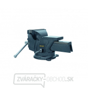 Zverák s kovadlinou Procraft PBV125 | PBV125 Náhľad