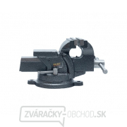 Zverák s kovadlinou Procraft PBV100 | PBV100 náhled