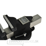 Profesionálny zverák 5