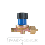 Strešný plynový horák 60mm PROFI (70cm + 5m hadica + redukcia) náhled