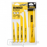 12-dielna sada pílových listov na drevo a kov DeWALT DT2441 12-dielna sada pílových listov na drevo a kov DeWALT DT2441 gallery main image