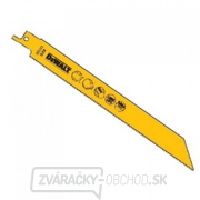 Demolačný pílový list na kov, plech, rúry a profily do 6 mm pre mečové píly 203 mm 100 ks DeWALT DT2323 Demolačný pílový list na kov, plech, rúry a profily do 6 mm pre mečové píly 203 mm 100 ks DeWALT DT2323 gallery main image