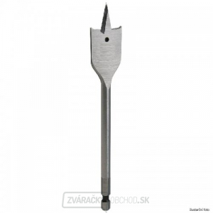 Plochý vrták do dreva 38x160 mm DeWALT DT4838