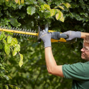 Akumulátorové nožnice na živý plot V60 bez batérie Stanley FatMax SFMCHTB866B Akumulátorové nožnice na živý plot V60 bez batérie Stanley FatMax SFMCHTB866B náhled